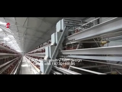 Тип полноавтоматическое оборудование клетки цыпленка для птицефермы Sandy 20 000 емкостей