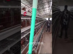 Клетка батареи цыпленка яруса а или х тип 3 или 4 для птицефабрики Дорис