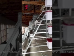 Клетка слоя яйца батареи оборудования клетки цыпленка 96 птиц автоматическая для кладя куриц в радужке Нигерии