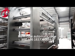 Автоматическая клеточная система для выращивания куриных птиц типа H в Африке