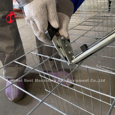 Горячая оцинкованная стальная куриная клетка Q235 для Нигерии Гана Камерун Куриная ферма Дорис