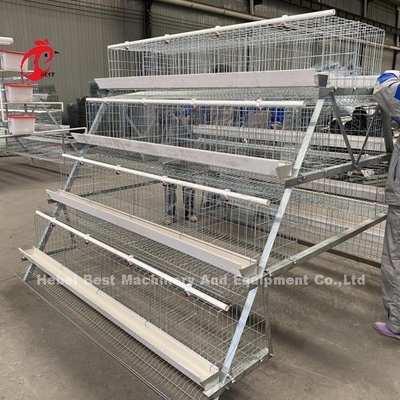 Горячая оцинкованная стальная куриная клетка Q235 для Нигерии Гана Камерун Куриная ферма Дорис