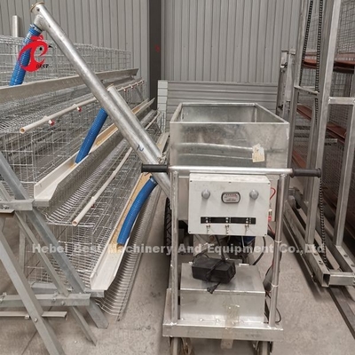 Клетка птицы Semi автоматических птиц клетки 15000 слоя птицы ручная в радужке Нигерии