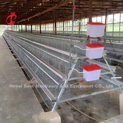 Коммерчески система 2.0m*2.0m*1.45m клетки батареи слоя цыпленка в звезде Нигерии