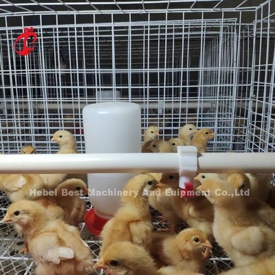 Оборудование для птицеводческих ферм H-type Battery Chicken Cage System для бройлеров