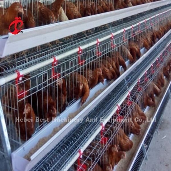 Тип 4 уровня серебряного оцинкованного слоя батарейные клетки системы Адела