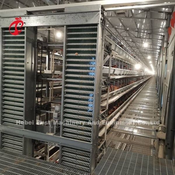 Система автоматического сбора яиц для 30 000 цыплят